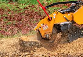 Best Tree Mulching  in Midway North, TX