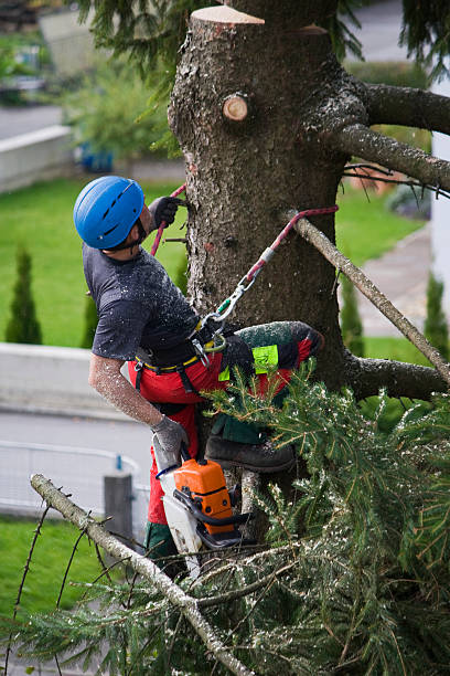 Best Lawn Watering Services  in Midway North, TX